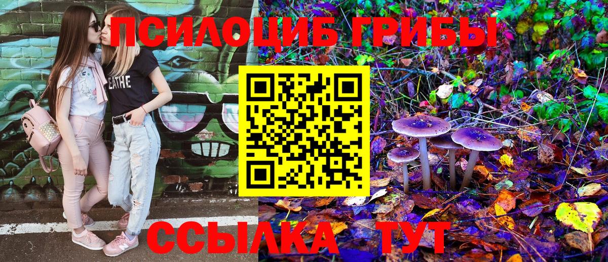 Лесосибирск  Псилоцибиновые грибы мицелий  Вход с VPN  Псилоцибиновые грибы MAGIC MUSHROOMS 